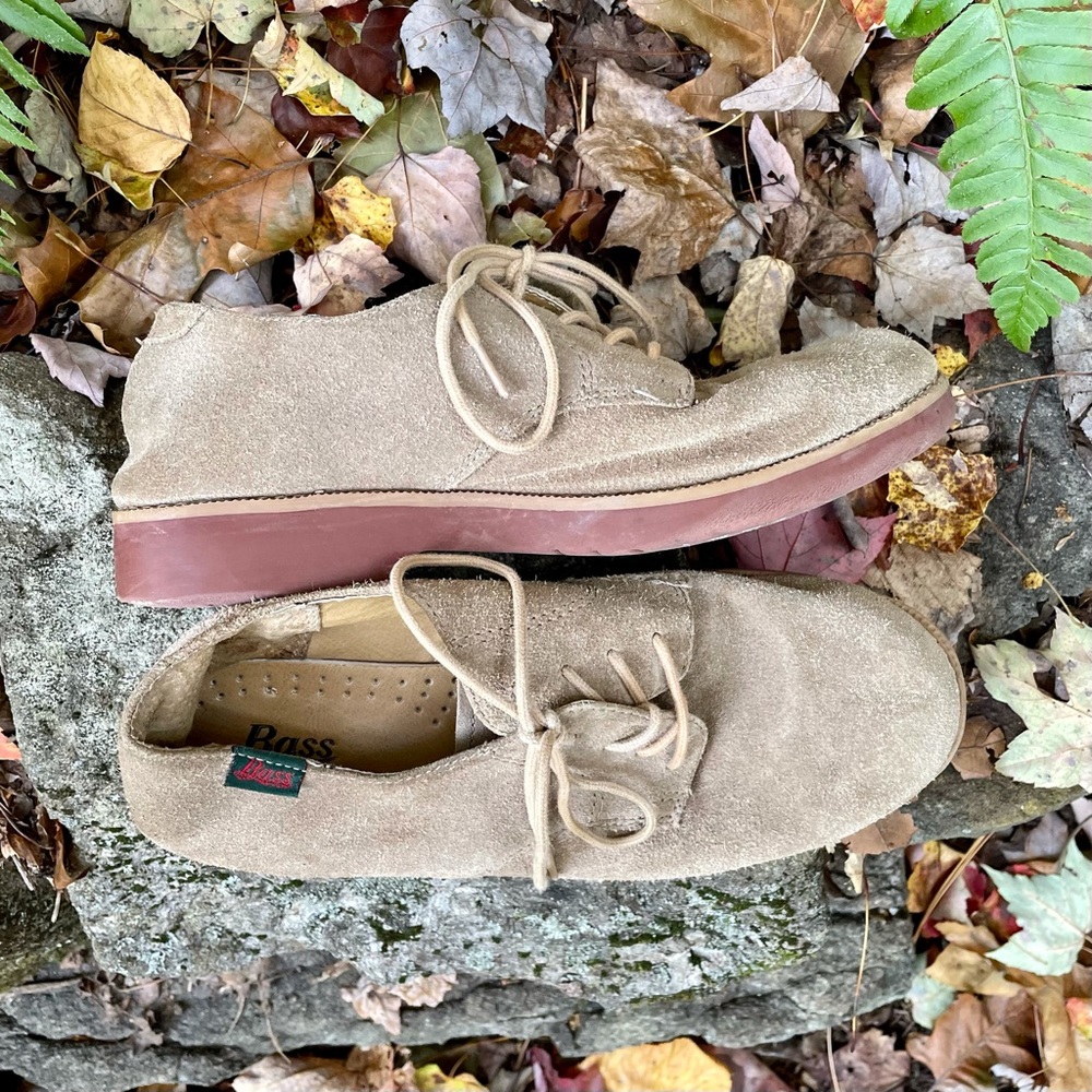 Boy’s Bass Suede Elliott Shoe Size 5